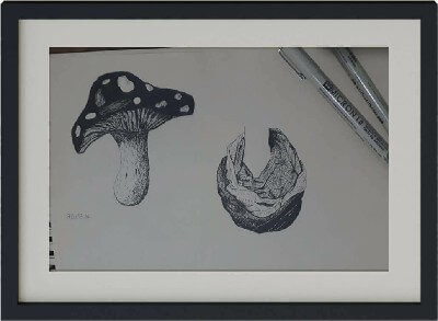 Illustration of a mushroom