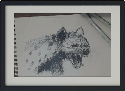 Illustration of a Hyena