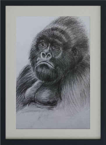 Illustration of a gorilla